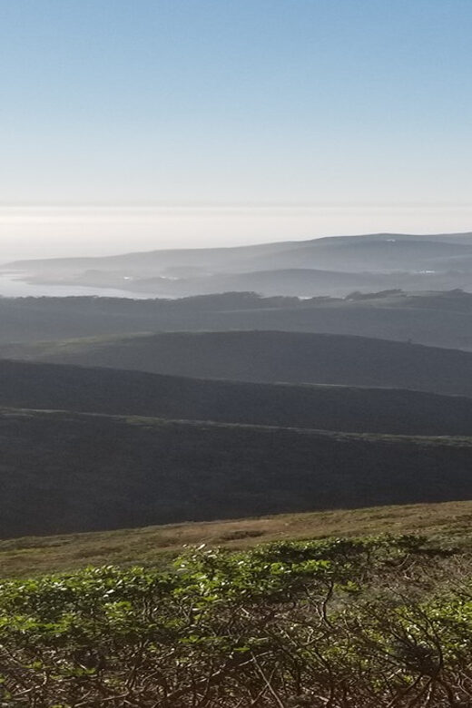 San Francisco: Muir Woods, Sausalito, and Sonoma Wine Tour - Key Points