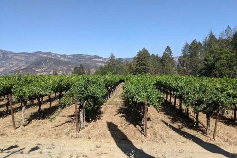 San Francisco: Napa and Sonoma Valley Private Wine Tour - Final Thoughts