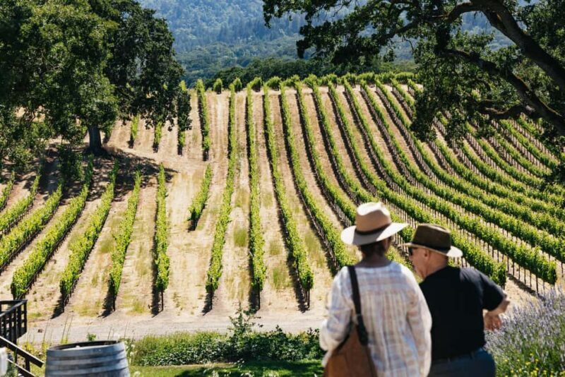 San Francisco: Napa and Sonoma Valley Wine Tour - Exploring the Full Experience