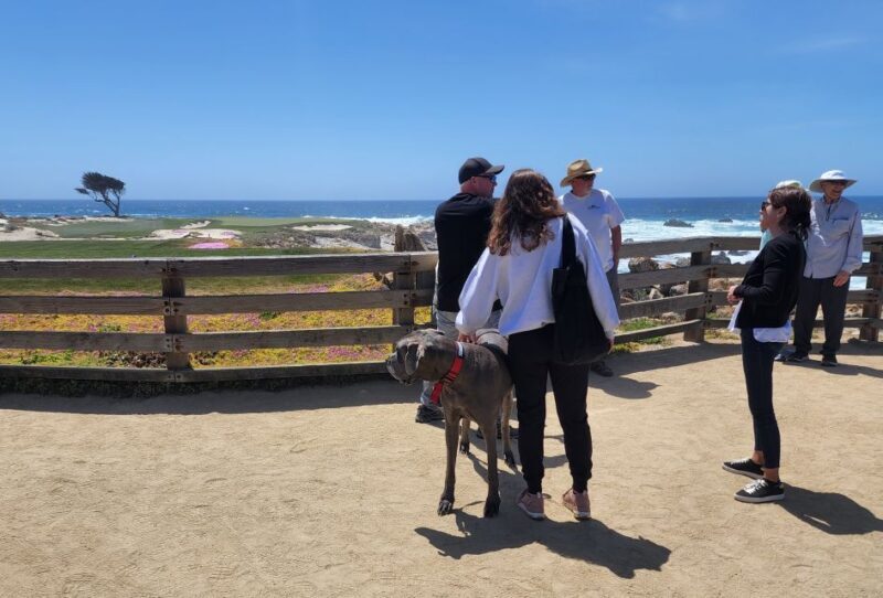 San Francisco: Private Monterey Aquarium 17 Mile Carmel - The Price and Its Value