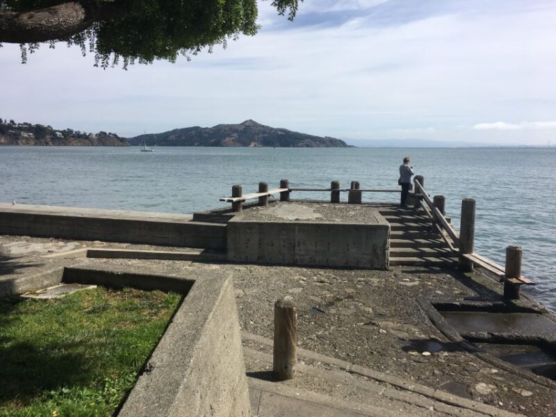 San Francisco: Private Muir Woods and Sausalito Tour - Deep Dive into Practical Details