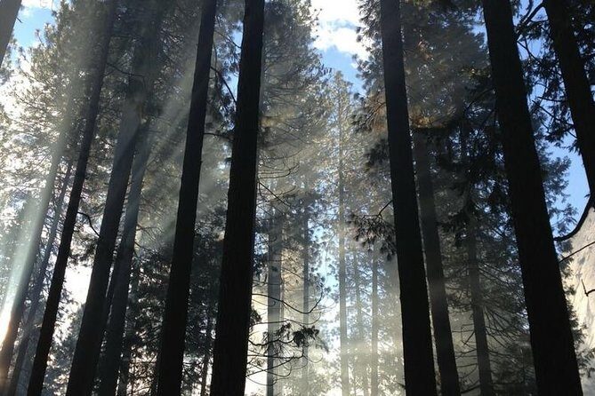 San Francisco Private Tour: Hidden Gems & Highlights by a Local - An Introduction to the Tour