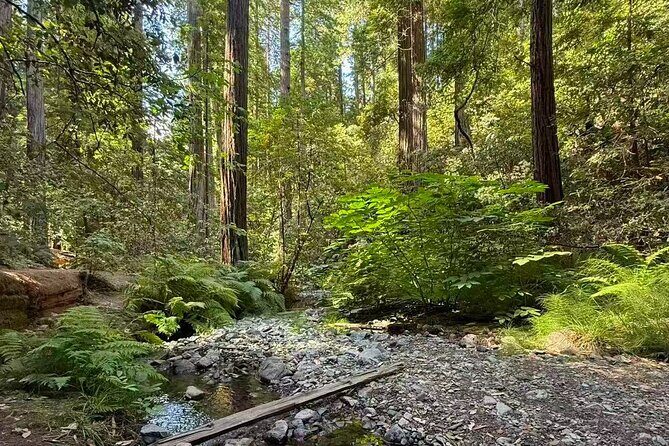 San Francisco, Redwoods & Sausalito: A Scenic Small-Group Escape - FAQ