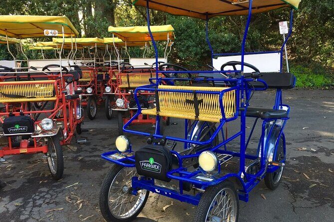 San Francisco: Scenic Surrey Ride Through Golden Gate Park - What You Can Expect from the Surrey Ride