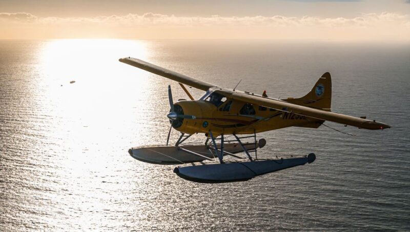 San Francisco: Seaplane Flight with Champagne - What to Expect from Your San Francisco Seaplane Flight