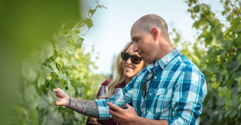 San Francisco: Sonoma Wine Country Tour with Tastings - Key Points