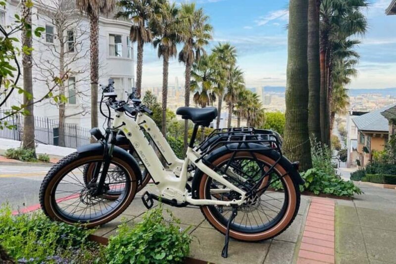 San Francisco: Summer of Love Guided eBike Tour - What Makes This Tour Stand Out?