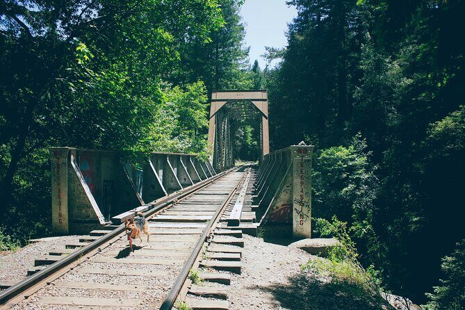 San Francisco to Santa Cruz Day Trip: Redwoods and Beach Fun - Value and Practicalities