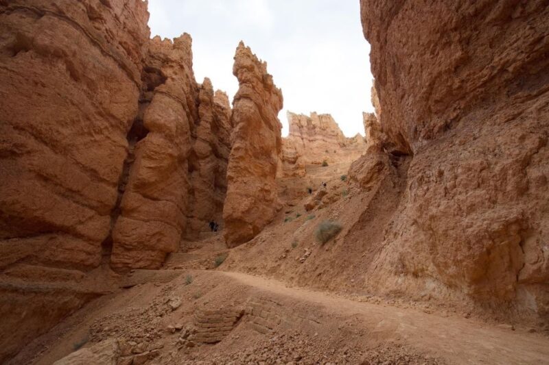 San Francisco: Yosemite, Las Vegas, Bryce & Zion, 6-Day Tour - Practicalities and What Matters