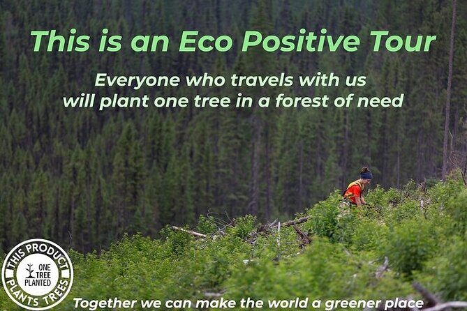 San Francisco: Yosemite, Las Vegas & Hoover Dam, 4-Day Tour - Key Points