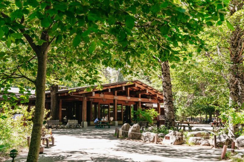 San Francisco: Yosemite National Park & Giant Sequoias Hike - Free Time in Yosemite Valley