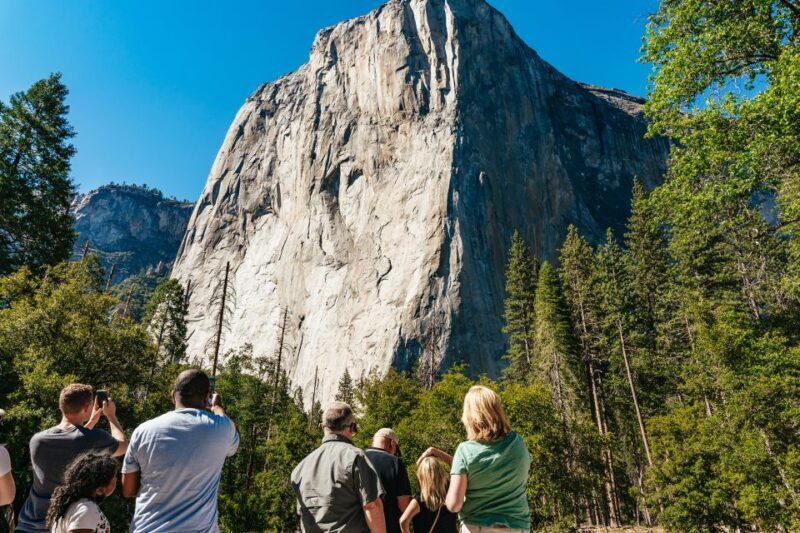 San Francisco: Yosemite National Park & Giant Sequoias Hike - Final Thoughts: Who Is This Tour Best For?