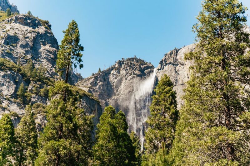 San Francisco: Yosemite National Park & Giant Sequoias Hike - Wrapping It Up