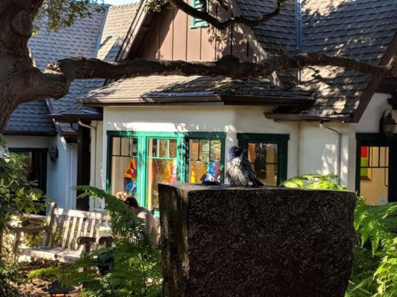 San Francisco:Private Monterey, Carmel and Big Sur Day Trip - The Experience: What You’ll Love and What to Watch For