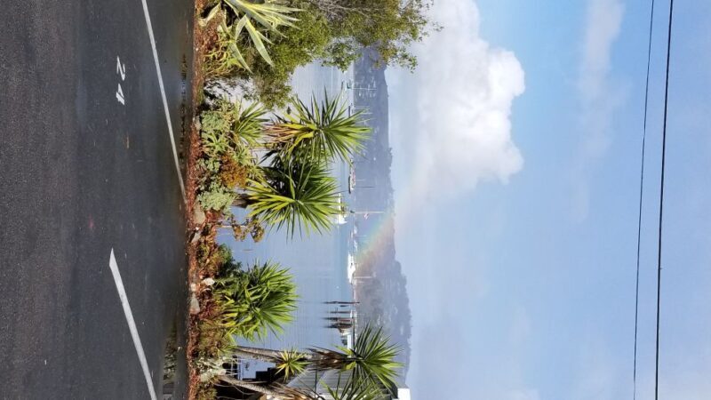 San Fransico: Muir Woods & Marin Headlands Private Tour - Final Thoughts