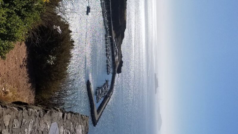 San Fransico: Muir Woods & Marin Headlands Private Tour - FAQ