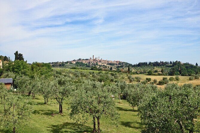 San Gimignano and Winery Experience with Light Lunch from Pisa - What the Reviews Say