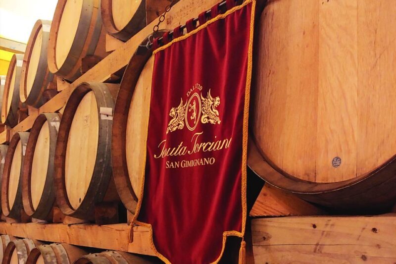 San Gimignano: Lunch or Dinner at a Winery with Wine Tasting - Who Should Consider This Tour?