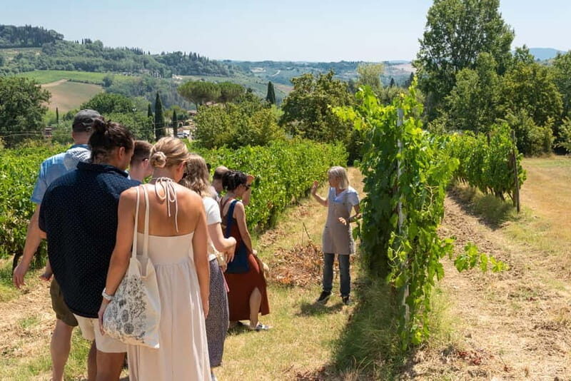 San Gimignano: Mini Wine Tour with Tuscan aperitif - What to Expect from the San Gimignano Mini Wine Tour