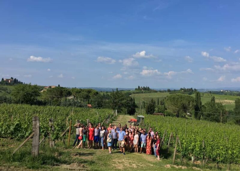 San Gimignano: Premium Wine Tour with Lunch - What to Expect from the Tour