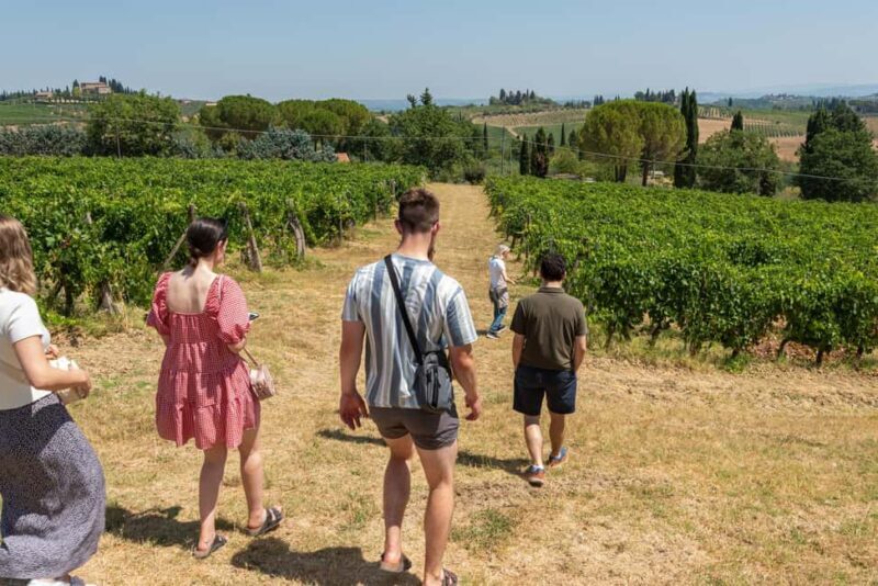 San Gimignano: Premium Wine Tour with Lunch - FAQ