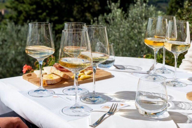 San Gimignano: Professional Wine Tasting Experience - Key Points