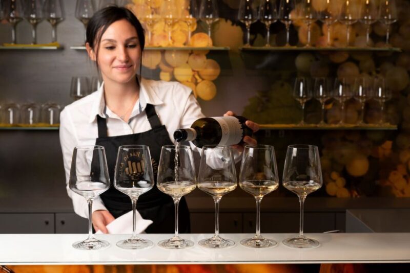 San Gimignano: Professional Wine Tasting Experience - The Wines and the Experience