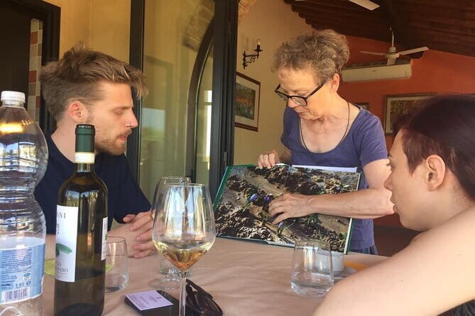 San Gimignano, Saffron and Vernaccia Wine from Florence - Who Will Love This Tour?