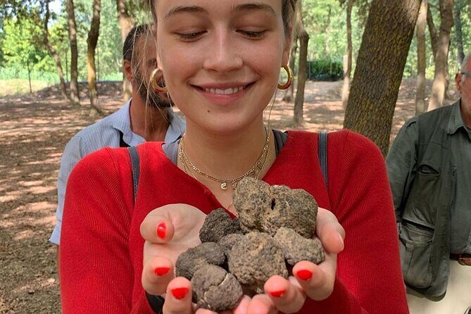 San Gimignano Truffle Hunt & Truffle Cooking Class - Key Points