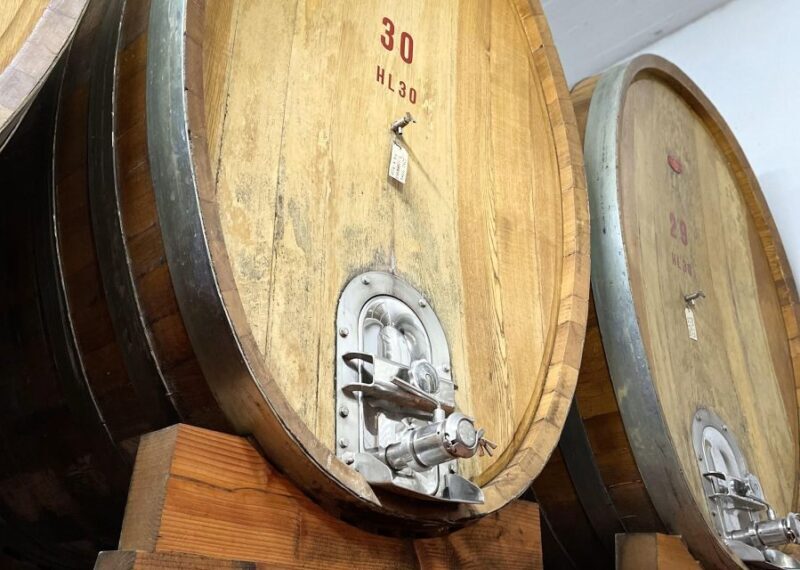 San Gimignano: Vineyard and Cellar Tour with Wine Tasting - Who Would Enjoy This Tour?