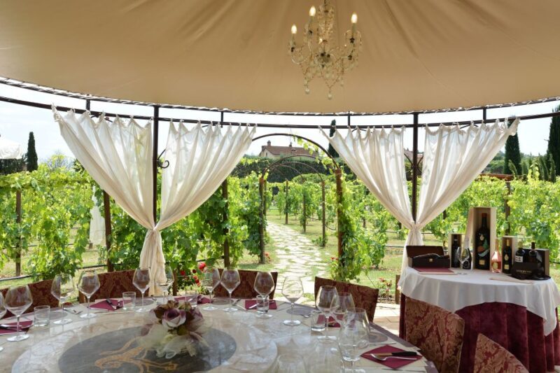 San Gimignano: Vineyard Walk with Wine Tasting in winery - Who Should Consider This Tour?