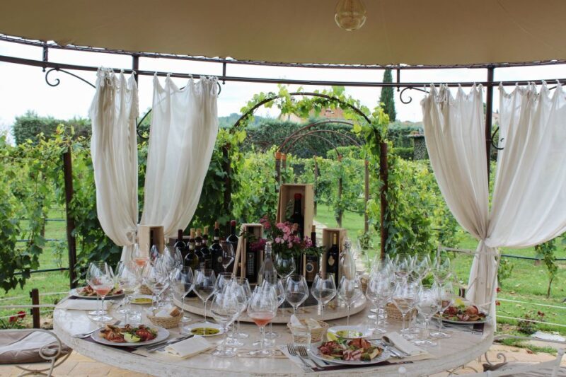 San Gimignano: Vineyard Walk with Wine Tasting in winery - Final Thoughts