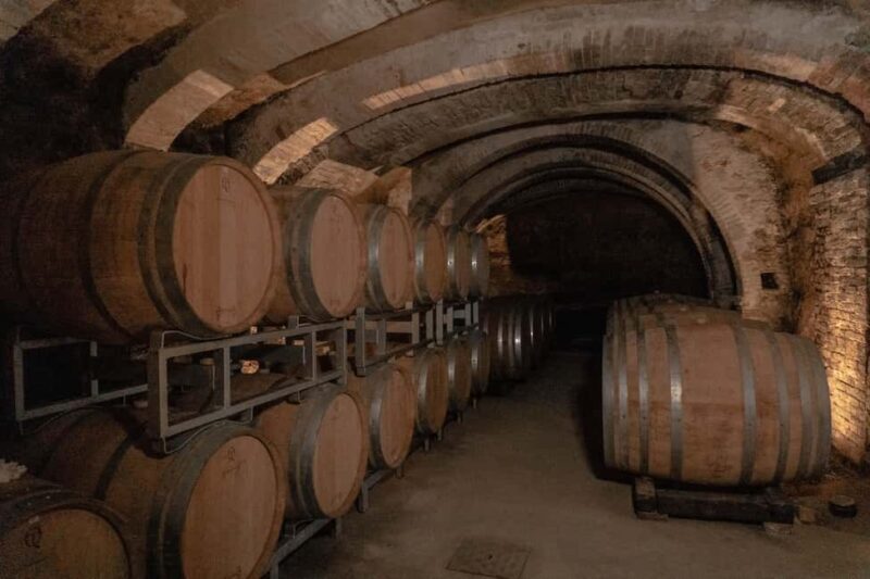 San Gimignano: Wine and Food Tasting in a Family Winery - Practical Details