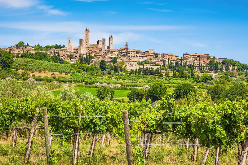 San Gimignano: Wine and Oil Tasting with Tuscan Appetizers - FAQ