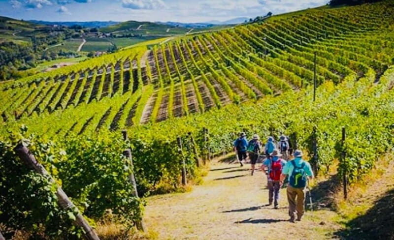 San Gimignano Wine Experience - The Journey from Florence to Tuscany: What to Expect