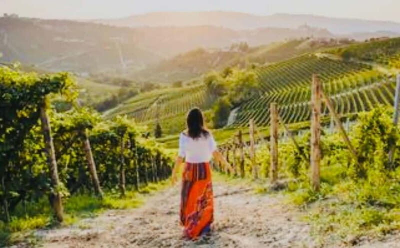 San Gimignano Wine Experience - Practical Details