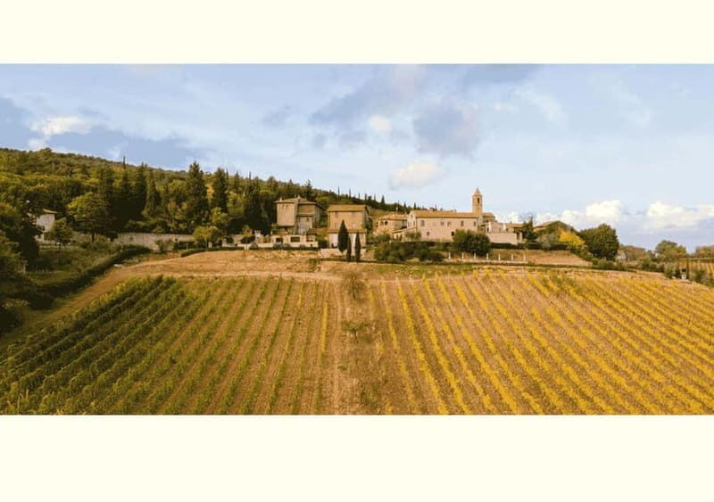 San Gimignano: Wine Tasting Experience at Il Colombaio - What is the Experience at Il Colombaio di Santa Chiara?