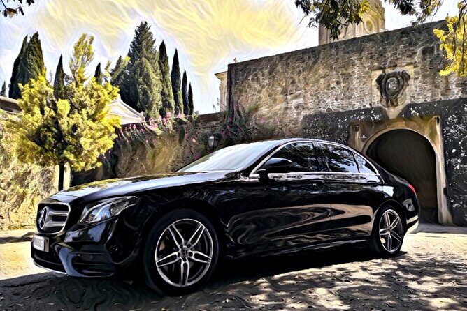 San Gimignano with lunch and wine tasting on a local winery - Who Is This Tour Best Suited For?