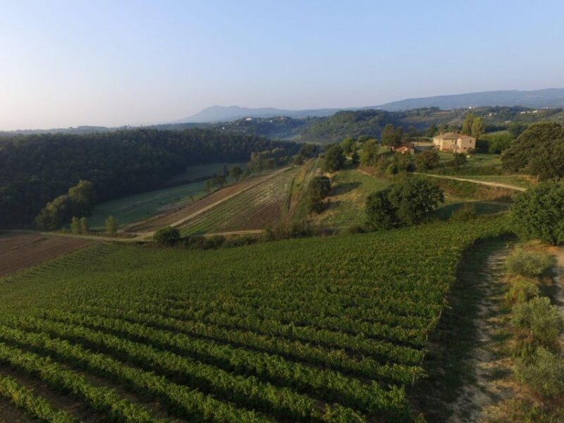 San Gregorio Tasting - Practical Details