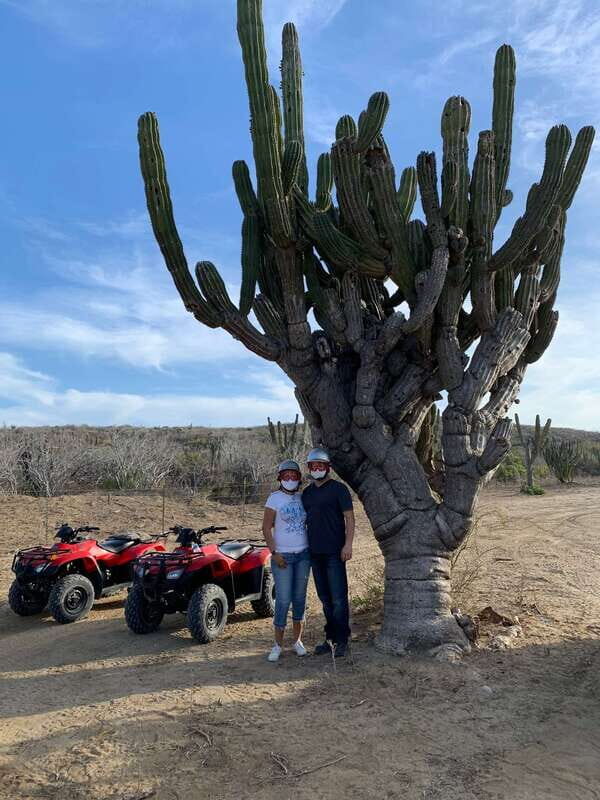San José del Cabo: 2-Hour ATV Tour - The Experience Itself: What You’ll Love and What to Watch Out For