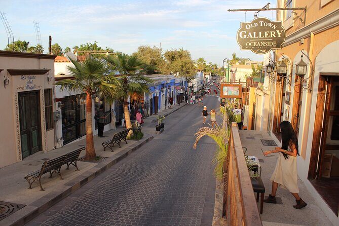 San Jose del Cabo Historic District Walking Tour - Exploring the Itinerary: What to Expect