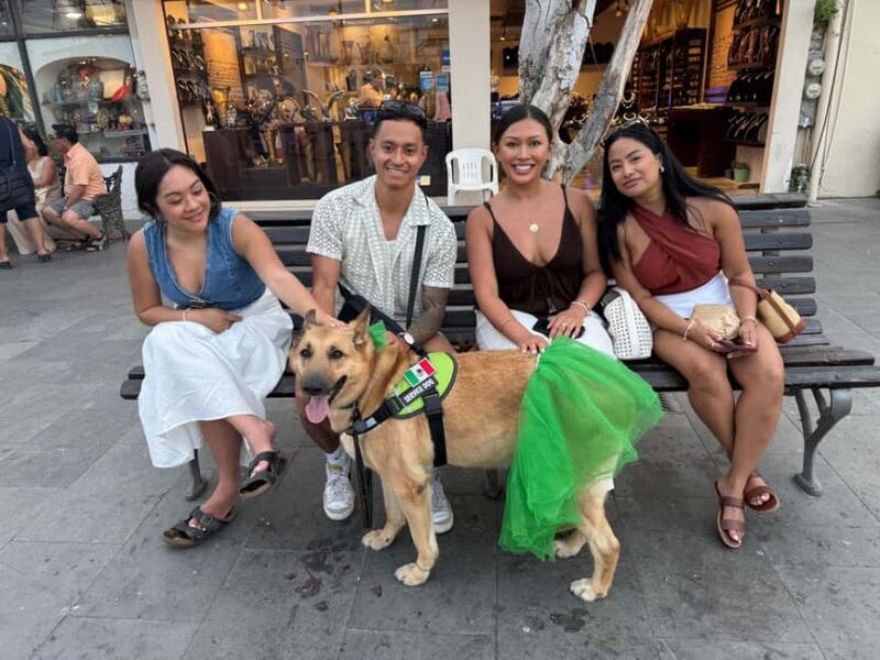 San José del Cabo: Thursday Night Art Walk Tour - Who Is This Tour Best For?