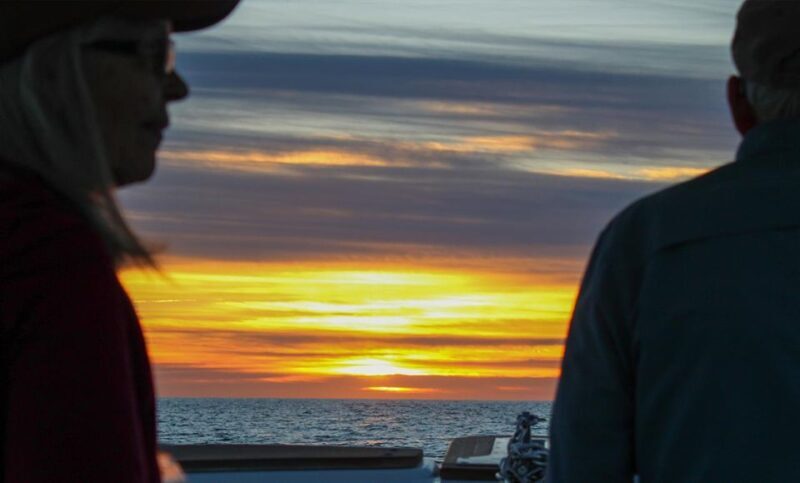 San Jose del Cabo Whale Watching Sunrise Tour - Who Should Consider This Tour?