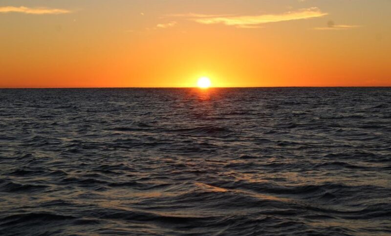 San Jose del Cabo Whale Watching Sunrise Tour - Final Thoughts