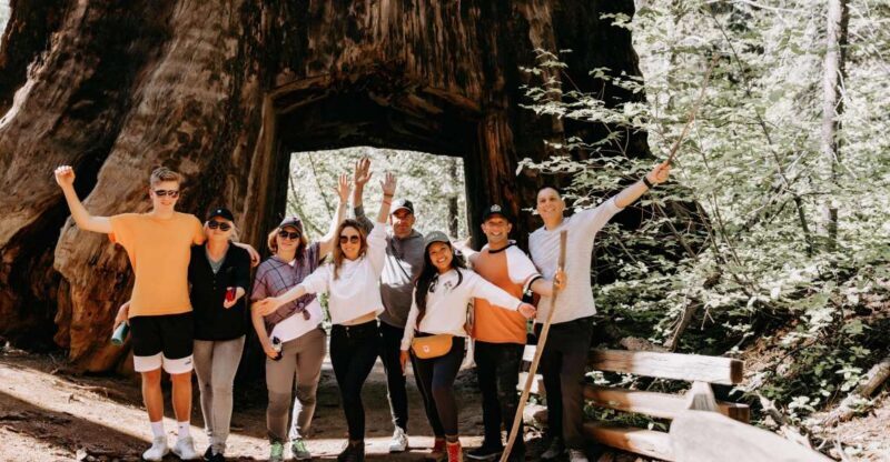 San Jose: Yosemite National Park and Giant Sequoias Trip - An Honest Look at the Itinerary and Highlights