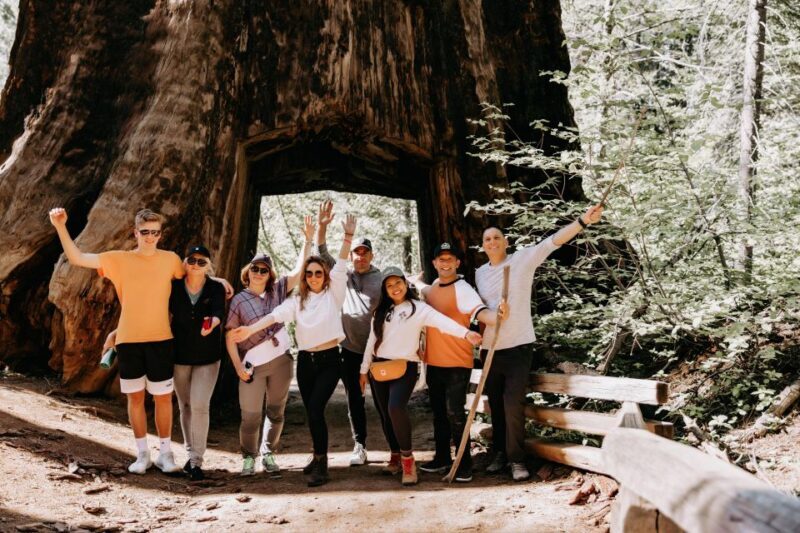 San Jose: Yosemite National Park and Giant Sequoias Trip - What Do People Love Most?