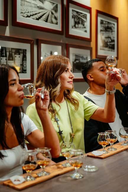 San Juan: Casa Bacardi Distillery Tour - What’s Included in the Tour?