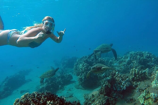 San Juan Guided Snorkel With Turtles Tour and Videos - Key Things I’d Notice First