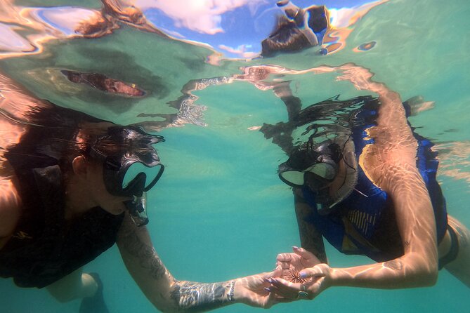 San Juan Guided Snorkel With Turtles Tour and Videos - Escambrón Beach Snorkeling: What Makes This Tour Feel Easy