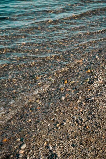 San Juan Island: 3-h Griffin Bay Tour - Is This Tour Worth It?